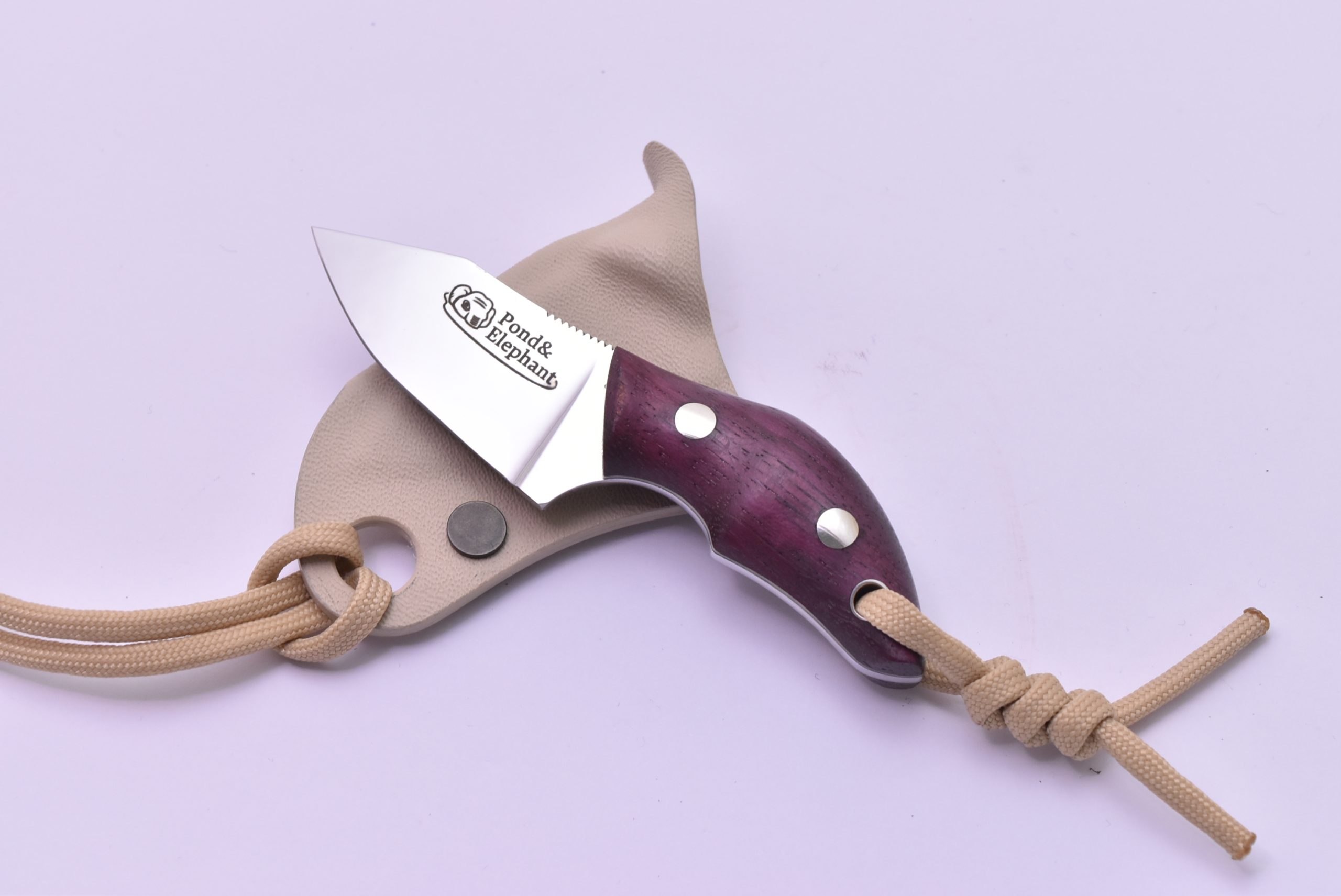 kenta_wakabayashi_10